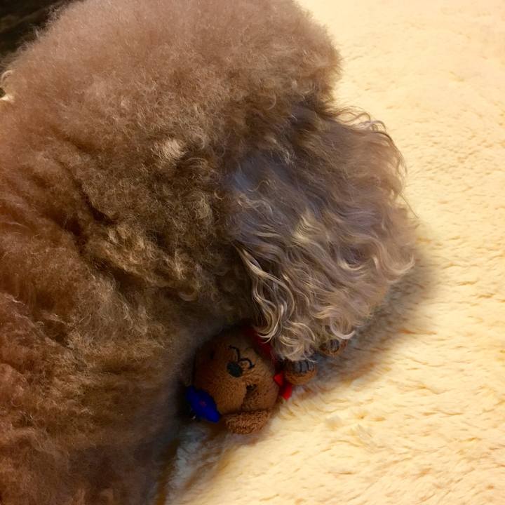 57ce14b3 a2a5 4480 80de f5fa4abc4f32