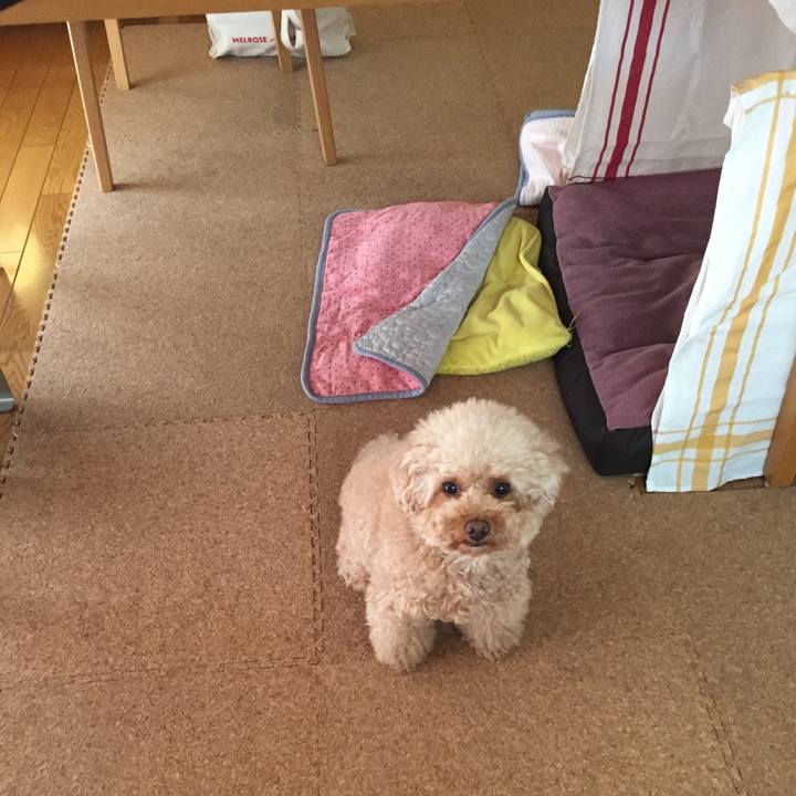 57cecb58 f5ba 4c6d 937b 2d9bae5b73cd