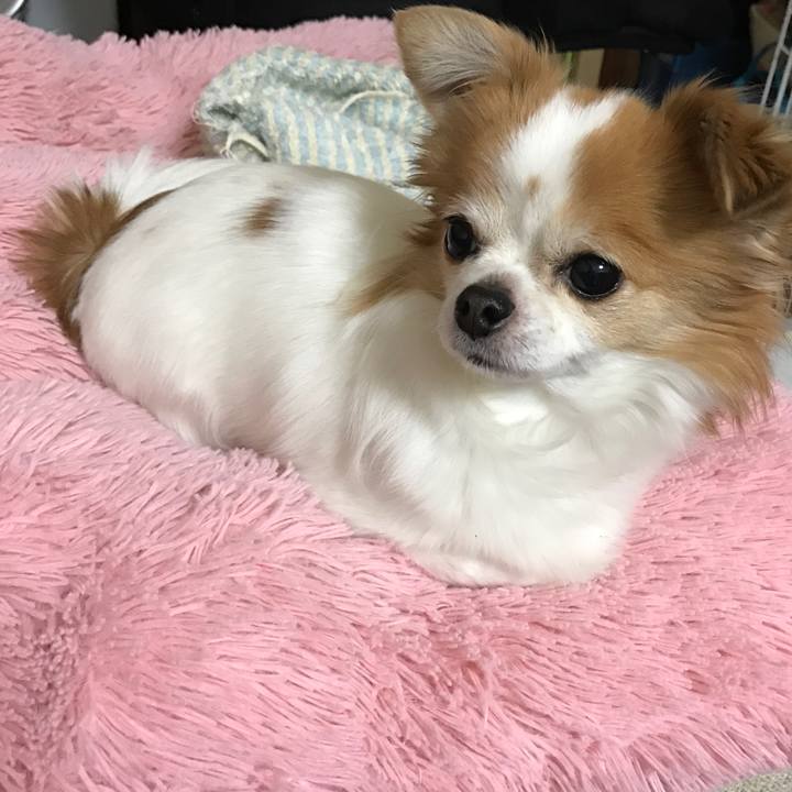 57cf2964 7871 455e b517 3907f5d1e6ba