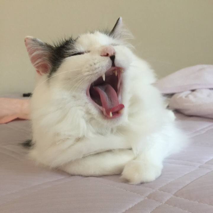 57cf6b3a bd8e 4565 a37c 887fab865f7d