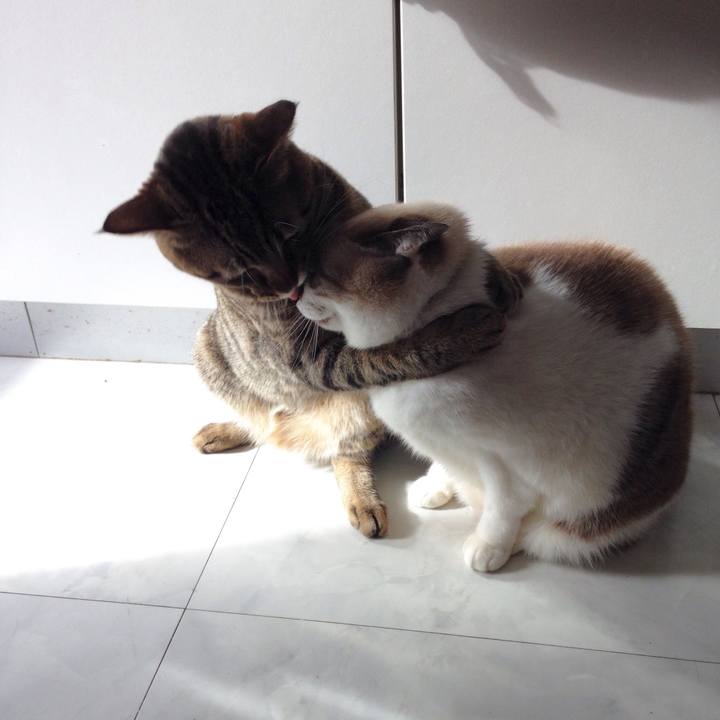 57cfe991 7683 4528 9a6a 223096d4c233