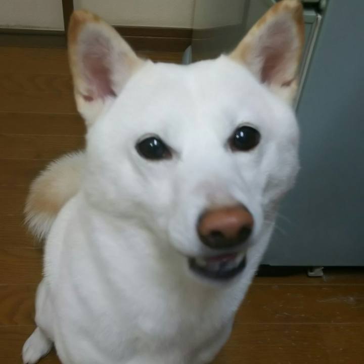 57cff73e 5d37 4d64 9e21 ae9b1743d630