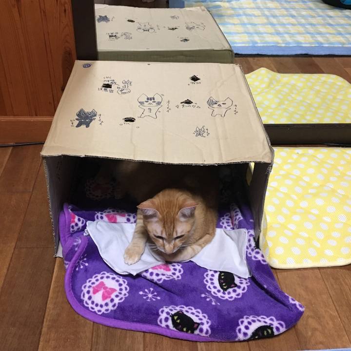 57d06a46 ff59 4ac3 8df0 54d41a05dd9d