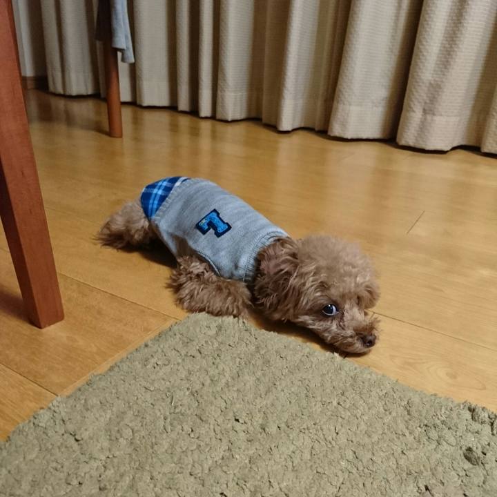 57d072aa b41b 49e7 acd7 a1fdd9e7d90d