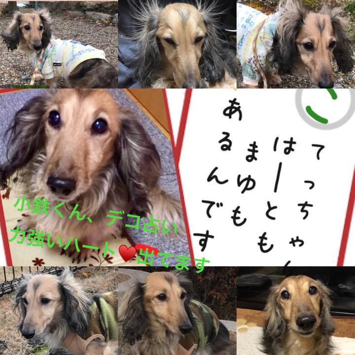 57d119d1 3bb0 4700 a7a7 874ca4fecaf7