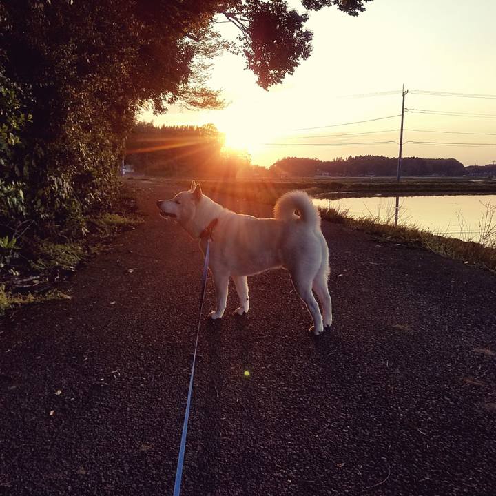 57d2ca0f 08b9 4f97 92df de6c09a4528d