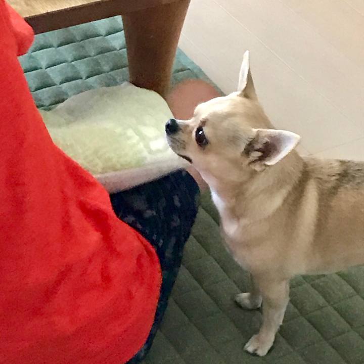 57d4ea35 e42a 4d45 aaf5 3790f9ee137a