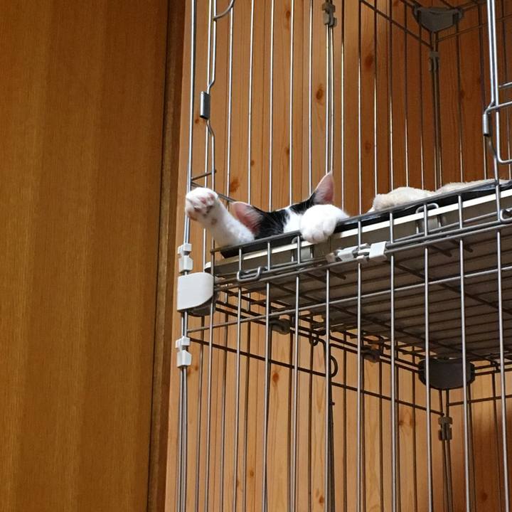 57d51853 32a6 455b 8966 83cf6e51c633