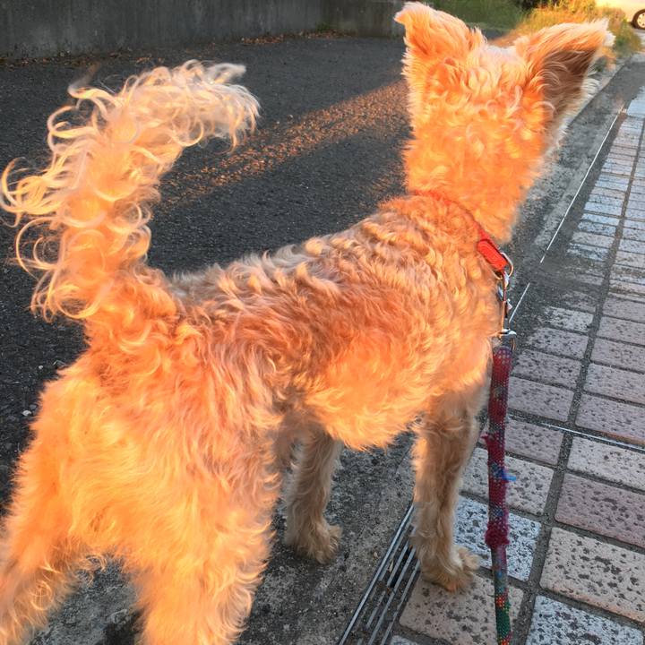 57d55b30 bc99 4185 8543 a0653eca584d