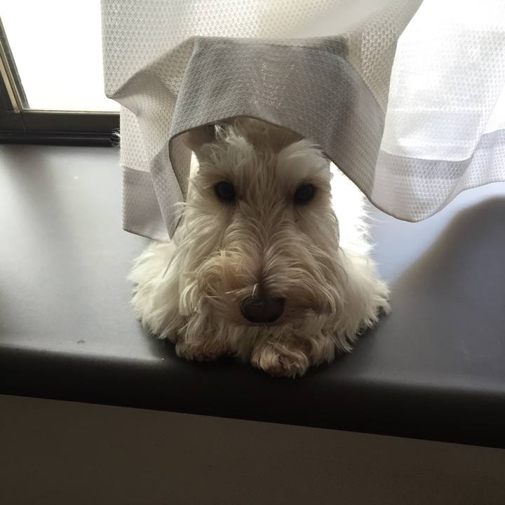 57d56037 d5e6 48e9 976a 78e3d3448806