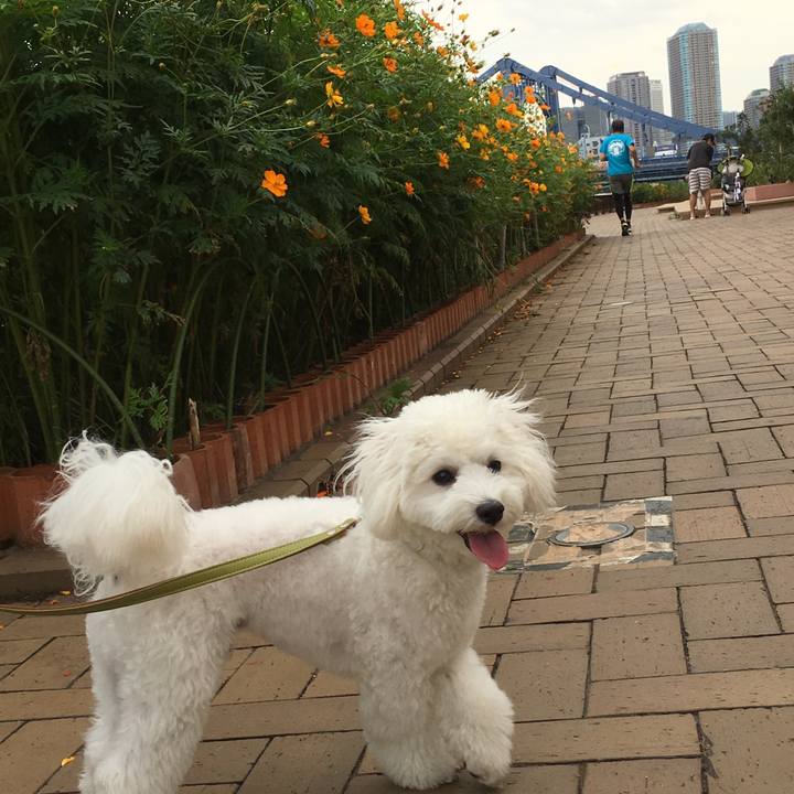 57d5cdf2 a019 4bf4 bed0 7de0c47d7f6b