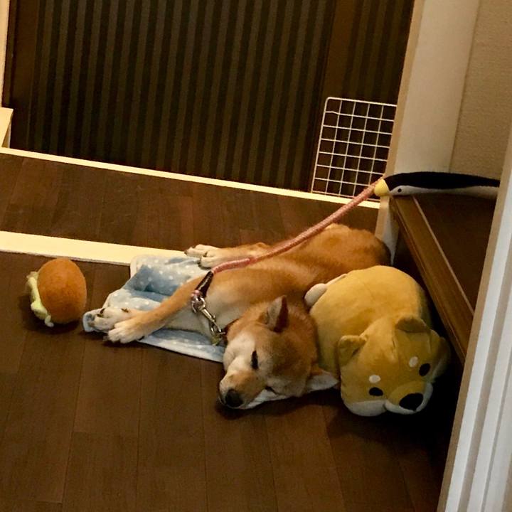 57d61eb8 e562 41f9 8cbb 28e0ee99e9c9