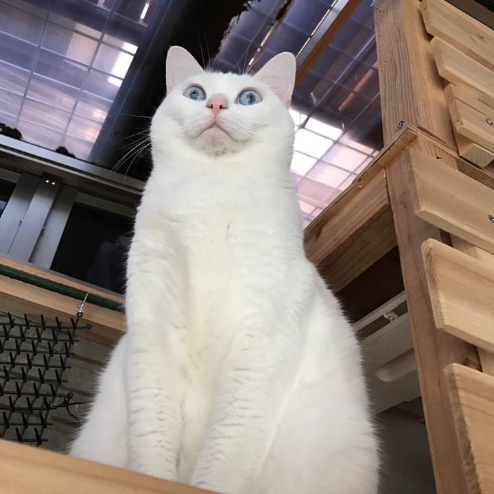 57d7b401 af6d 4283 b19a aa7ebdcab123