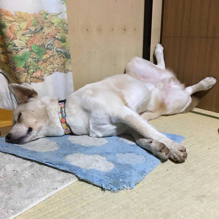 57d7cacc 7a01 4fda ba3f 9e9d7011037d