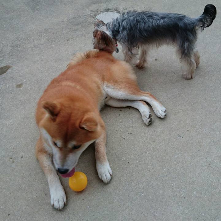 57d7fe18 b9fb 496d 94e4 449e53dcfdad