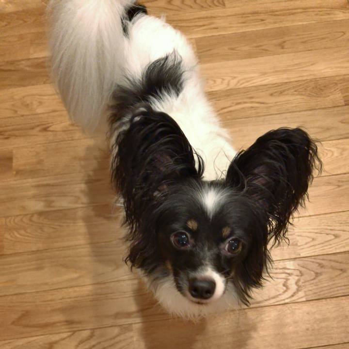 57d8483a 7807 48ba a72b edf0b40ab8be