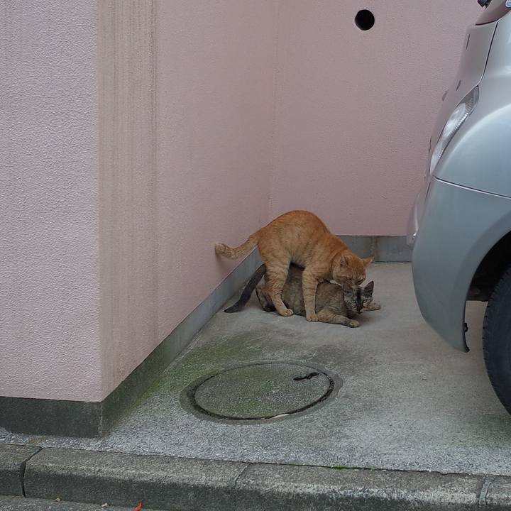 57d8618c 1003 48b5 8ccb 3f16cd79e47a