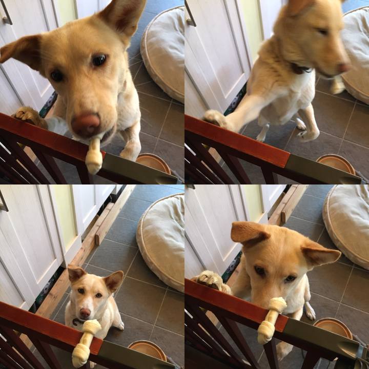 57d90f37 22a3 49b1 bcd3 ef8e66bec91d