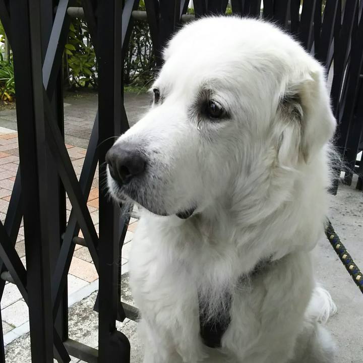 57d9201f de47 4d94 8a70 99fe3b4ada43