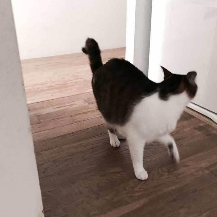 57d9e2e6 8060 47c4 a091 14d27b7a3baf