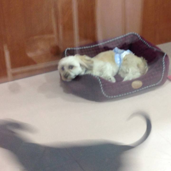 57da1c88 ef03 4afb b53b 4d8d53e04604