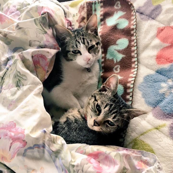 57da3b2e fd0c 4603 a995 41f91f22e6df