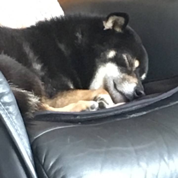 57da401a 24be 4fa2 b9ea d5e29fbbf790