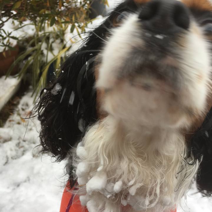 57da9f50 87a6 48d0 a214 0d60c99c759a