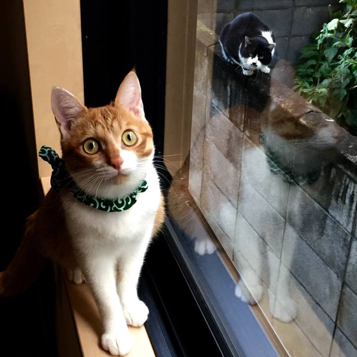 57db1d53 2290 45f5 812f 1acb33fab5e6