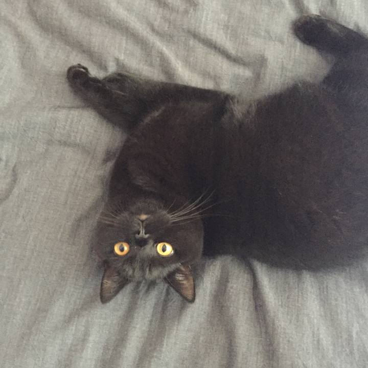 57db1d57 e7de 4f7e 848b bc44be06efb3