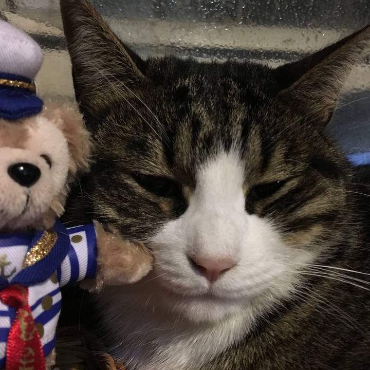 57db89d2 abcb 43cc b5b2 f23399b20483