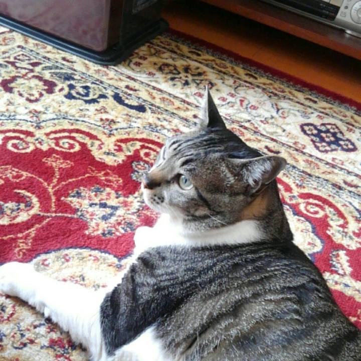 57dba25a 5634 44be ac6b 16117621e4f6