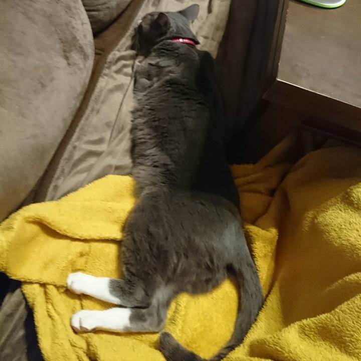 57dc4ef8 ff79 4e37 b31f 0452c9e4bde5