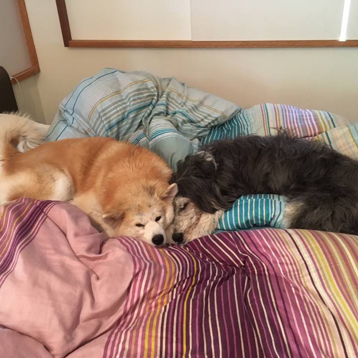 57dd3fee 61a3 44c8 97c7 e989b4cb8ada