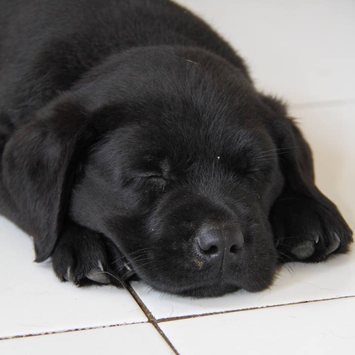 57dd66bb 2ed6 4fb8 9693 fec9562f5f23