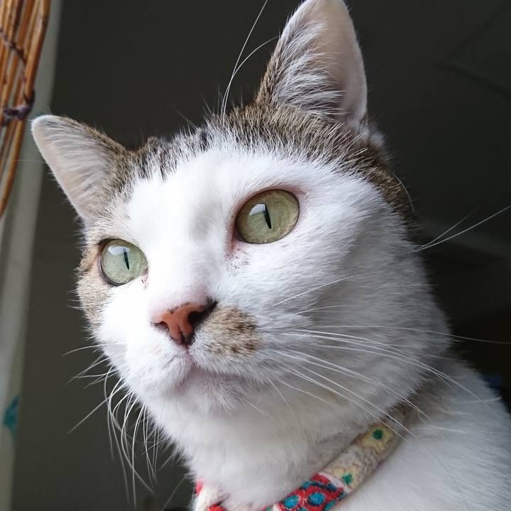 57de1f96 a90c 4684 985d a04f07520b2a