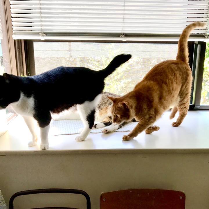 57de8890 9ba4 40aa 9fee ecd2bf05595b