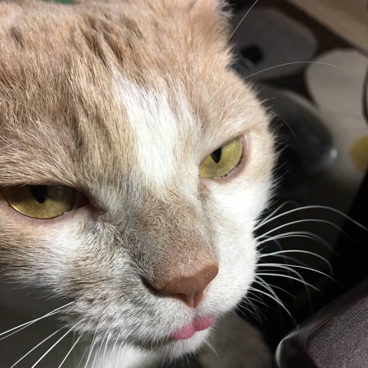 57dec5ce 32ef 41a2 934c 462c0e89b67e