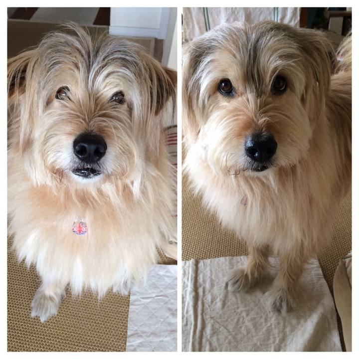 57ded0ee f29f 42fc b3fe b9384895c28b