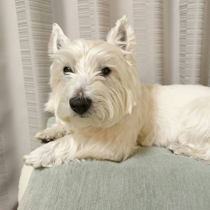 57dee5c5 7cf2 439d b30f 0124a3d6976e