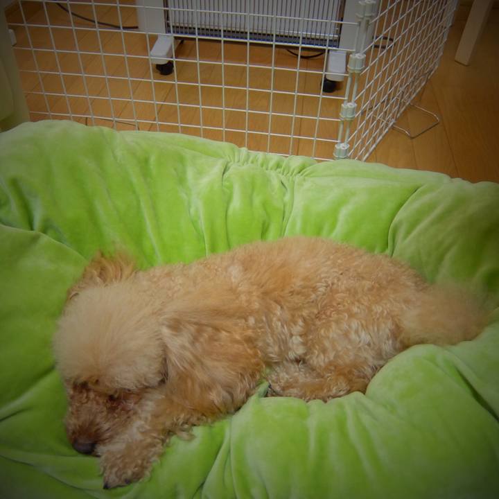 57df35c1 4db1 4365 adf9 045f8df8972e