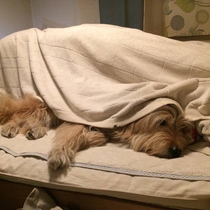 57df656f 4254 4bc7 8c30 21d12a704e07