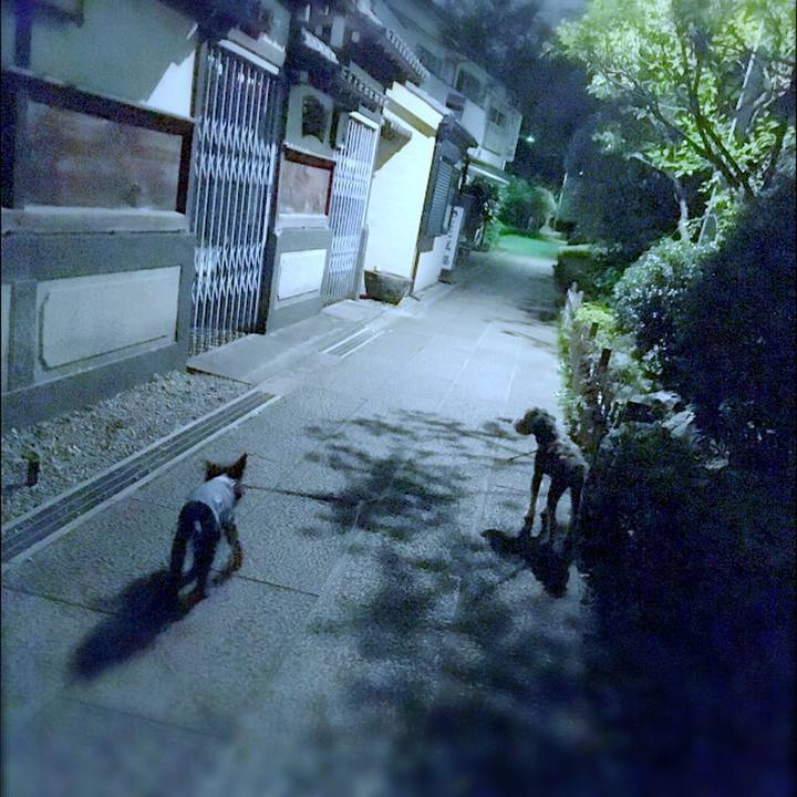 57dfad23 6a13 4a8c 8b34 e8fefd49046a