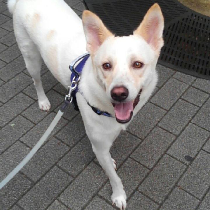 57dfe2b0 3810 4fc2 85ca 3ce6040c4fb8