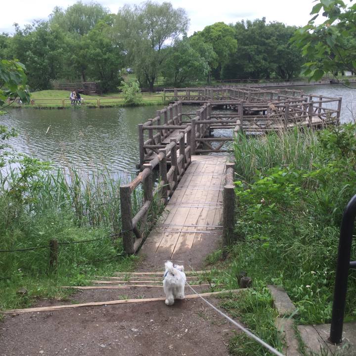 57dff787 6bc9 4889 bd03 c2c8a0aef830