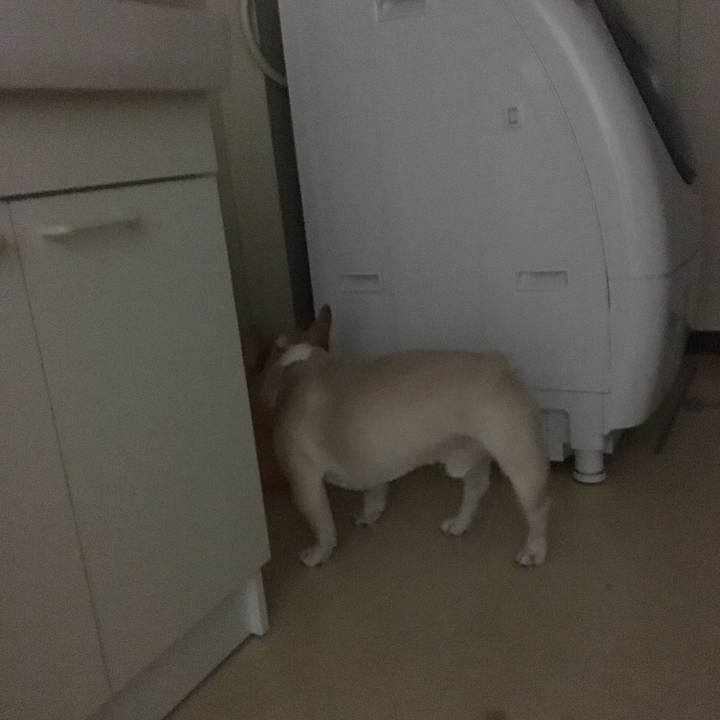 57e06244 52cf 4a53 b3b7 9ecce3951f0e