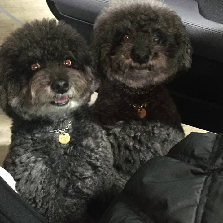 57e15080 66df 4708 a77b 9b49da8fb9f7