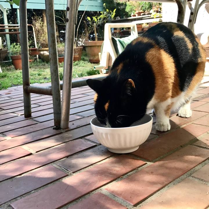 57e1922e 513e 45a1 895a cc447ff0f7e1