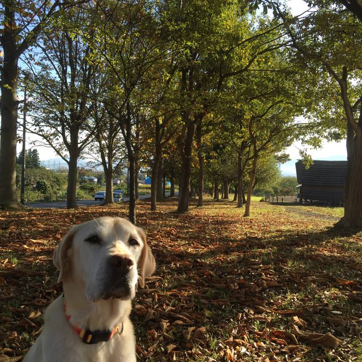 57e22b94 2ac7 4691 8820 c5c1888fab68