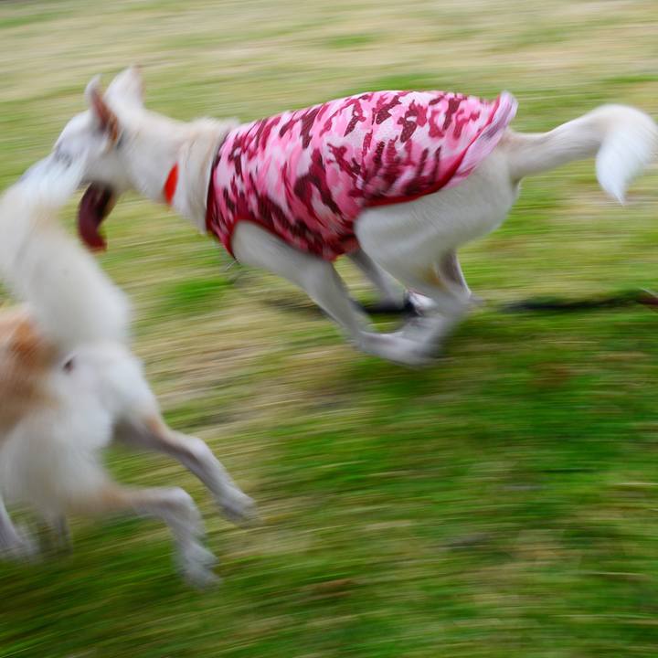 57e29308 f4c7 49a7 907a b5f35648989d